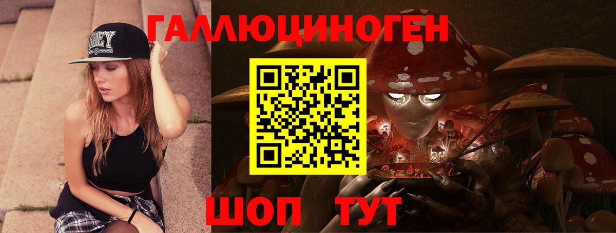Галлюциногенные грибы Psilocybe Печора